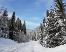 Descubre cómo conducir en Noruega: consejos esenciales para alquilar un automóvil y enfrentar el invierno con cadenas para la nieve
