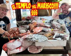 Descubre los mejores sabores del mar: Disfruta de un festín de mariscos en la costa