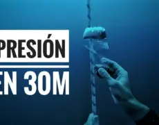 Descubre la emoción de bucear en las gélidas aguas de Noruega: Una experiencia única en el país escandinavo