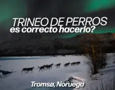 Descubre la emocionante aventura de una excursión en trineo de perros en Tromsø