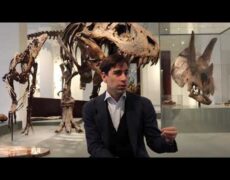 Descubre la fascinante historia del Museo de Historia Natural de Oslo en Noruega: una joya cultural del norte europeo
