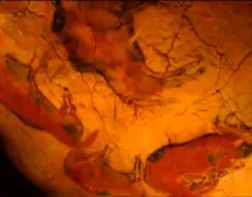 Descubre la fascinante historia del arte rupestre en Alta y maravíllate con sus impresionantes pinturas