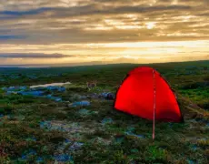 Descubre la belleza natural del Parque Nacional de Femundsmarka en Noruega: Un paraíso escandinavo por explorar