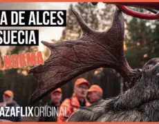 Descubre la magia de un safari de alces en Noruega: una aventura única en la naturaleza