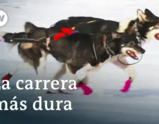Descubre la aventura única de una excursión en trineo de perros en el Ártico de Noruega