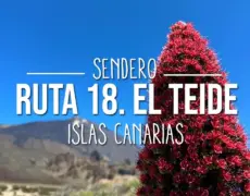 Descubre la belleza natural del Parque Nacional de Dovre: Recorriendo sus senderos