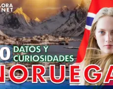 Descubre la deliciosa tradición de los Risboller de Noruega: una receta fácil y deliciosa