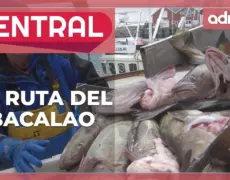 Descubre cómo saborear el delicioso bacalao noruego: ¡Un plato imprescindible en tu cocina!