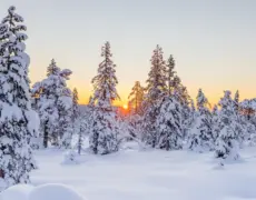 Descubre cómo obtener el mejor seguro de viaje en Noruega para protegerte en tus aventuras al aire libre y emergencias médicas